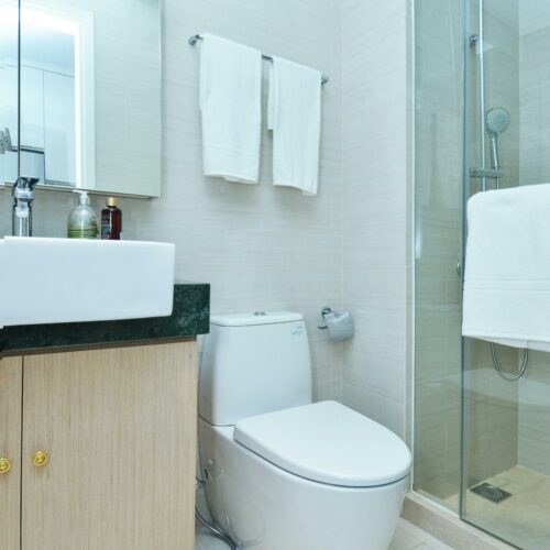 Toilet repair in Dallas
